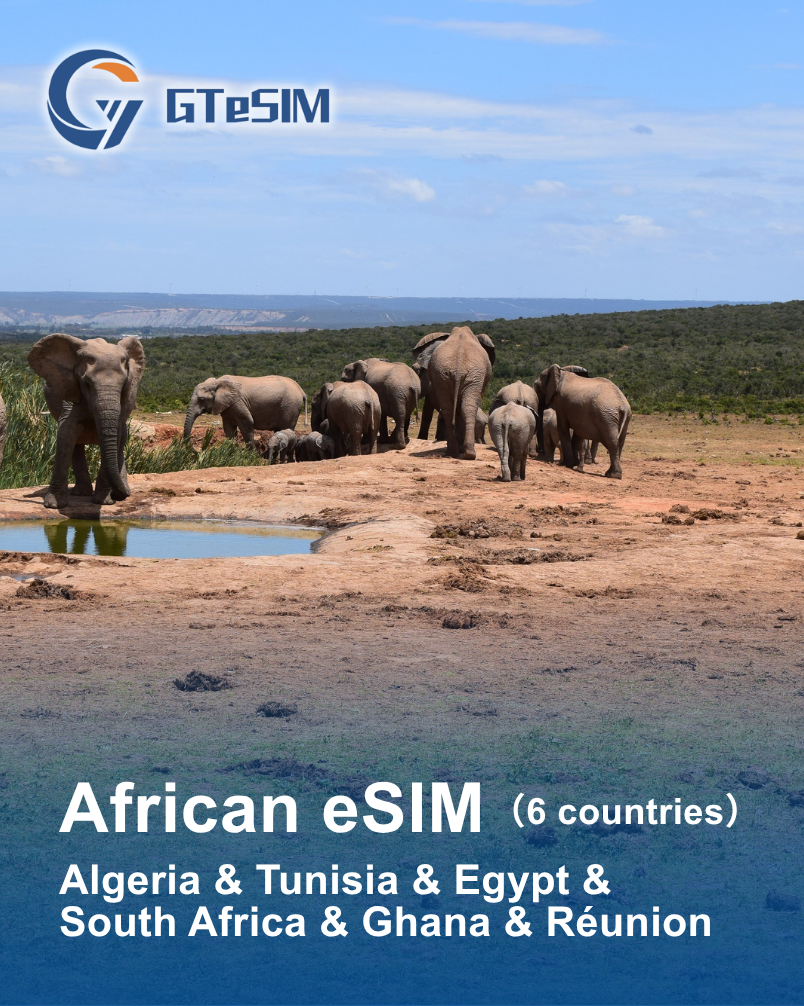 African eSIM( Algeria & Tunisia & Egypt & South Africa & Ghana & Réunion)