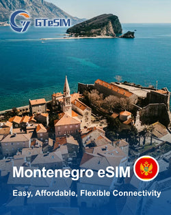 欧洲旅行 eSIM(39 个国家)