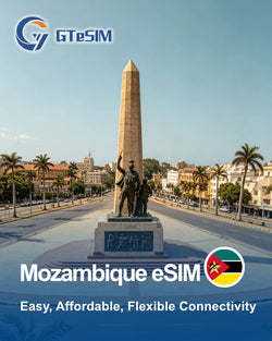 法国eSIM，带法国手机号码