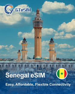法国eSIM，带法国手机号码