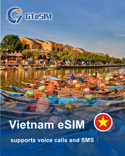 越南 eSIM（支持通话和短信）